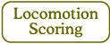 Locomotion Scoring